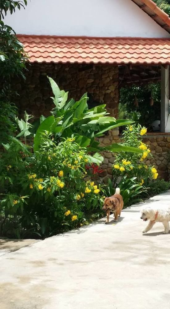 Chondaer Vil Bungalow & Boutique Kep Ngoại thất bức ảnh